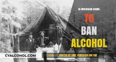 Michigan's Alcohol Ban: Fact or Fiction? What You Need to Know