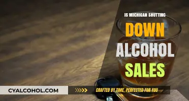 Michigan Alcohol Sales Shutdown: What You Need to Know Now