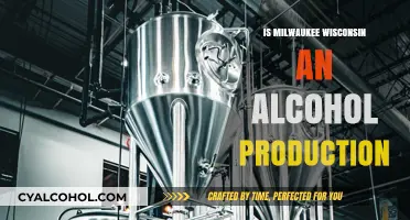 Milwaukee's Brewing Legacy: Alcohol Production Hub or Myth?