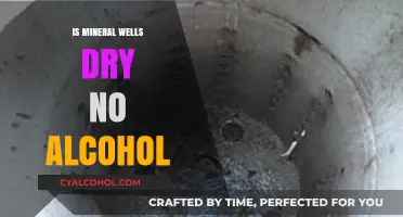 Mineral Wells Dry: Understanding the No-Alcohol Policy in the City