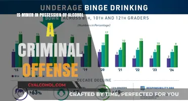 Alcohol Possession: Minors and Criminal Offense Laws