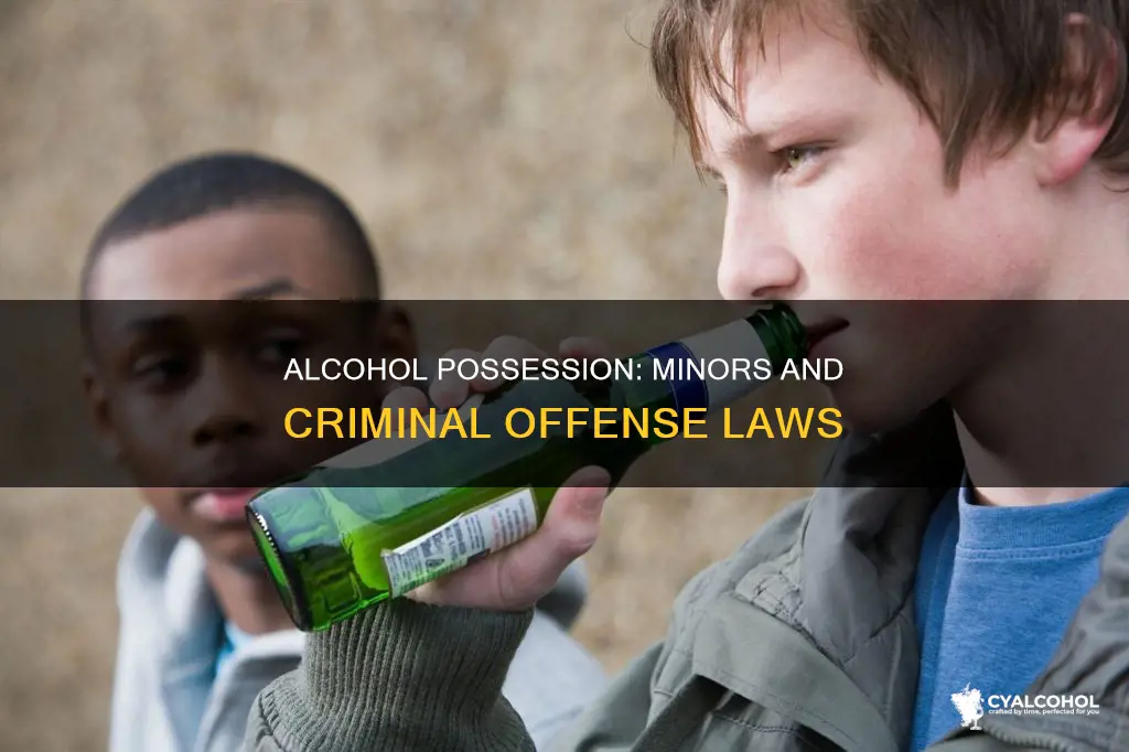 is minor in possession of alcohol a criminal offense