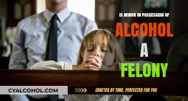 Is Minor in Possession of Alcohol a Felony? Legal Insights