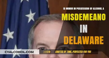 Delaware Alcohol Laws: Minor Possession Misdemeanor?