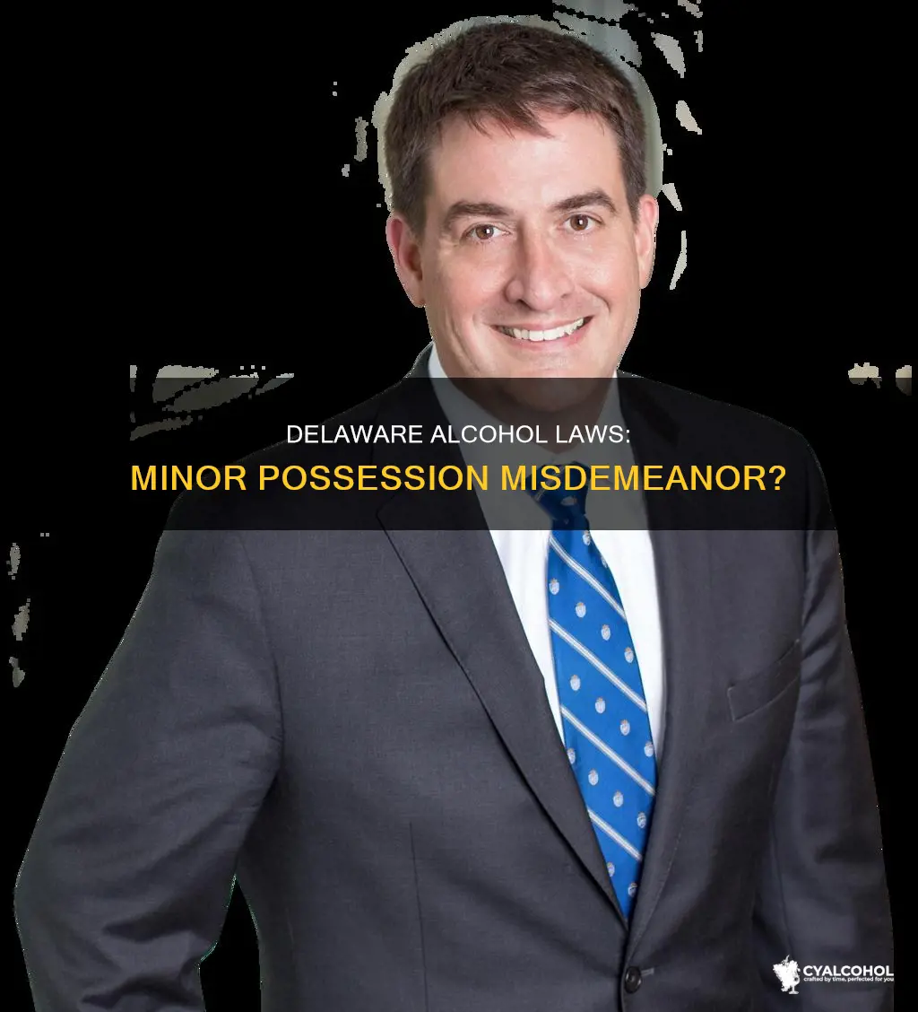 is minor in possession of alcohol a misdemeanor in delaware