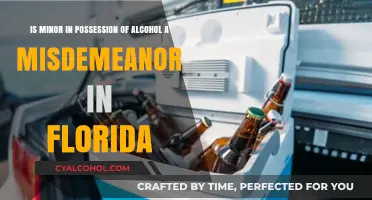 Florida's Alcohol Laws: Minor Possession Misdemeanor?