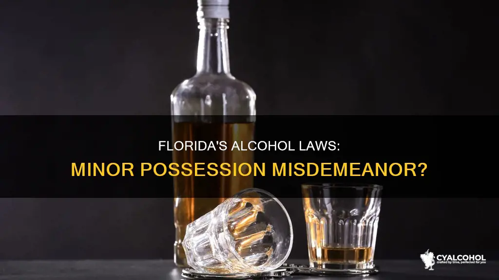 is minor in possession of alcohol a misdemeanor in florida