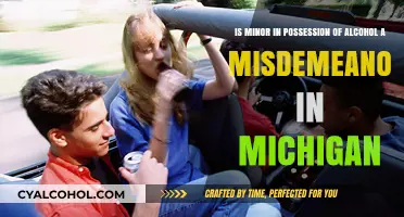 Michigan Alcohol Laws: Minors and Misdemeanors