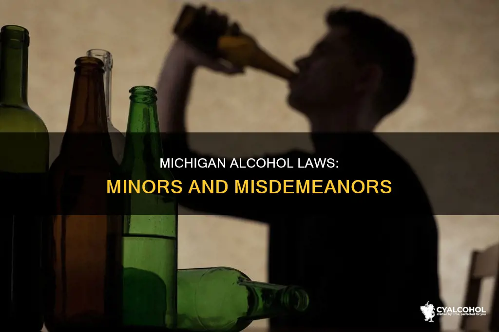 is minor in possession of alcohol a misdemeanor in michigan