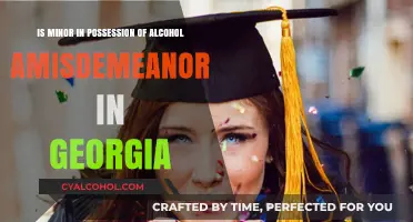 Georgia's Alcohol Laws: Minor Possession Charges