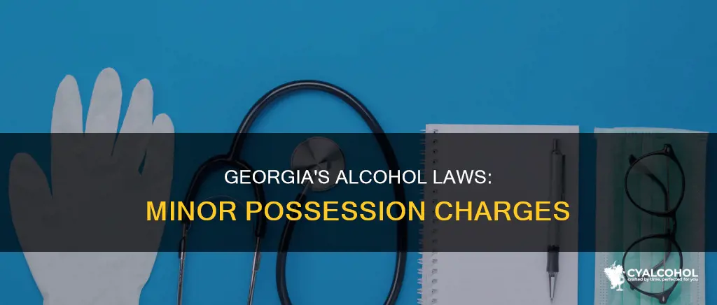 is minor in possession of alcohol amisdemeanor in georgia