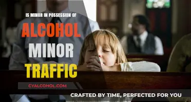 Minor in Possession of Alcohol: Traffic Violation or Serious Offense?
