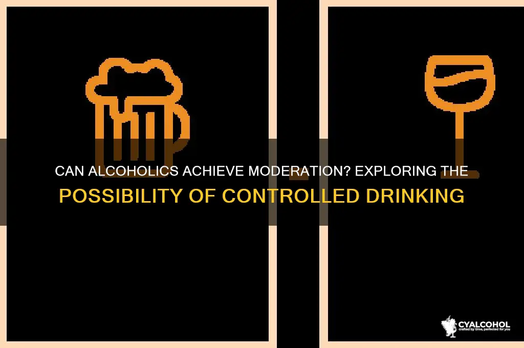 is moderation possible for an alcoholic