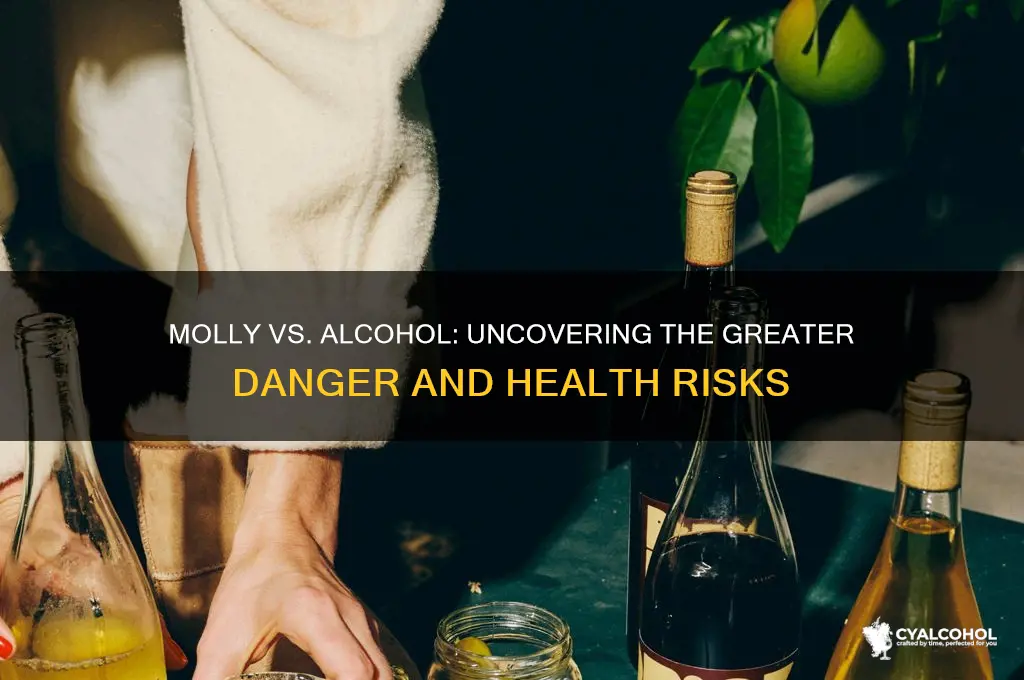 is molly more dangerous than alcohol