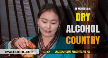 Exploring Mongolia's Alcohol Culture: Is It a Dry Country?