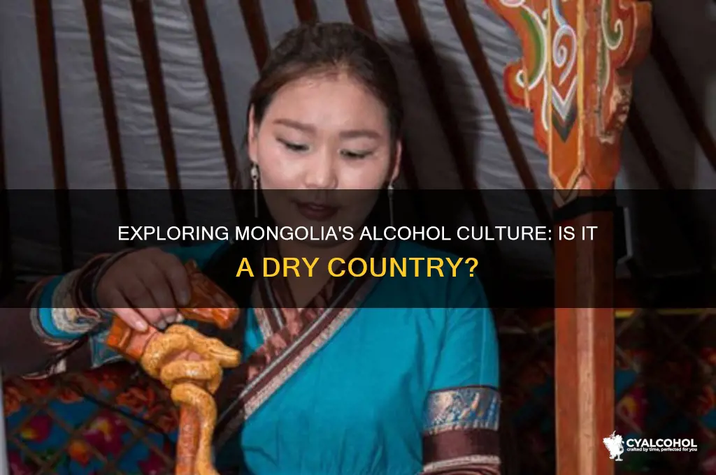 is mongolia a dry alcohol country
