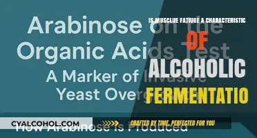 Muscle Fatigue and Alcoholic Fermentation: Unraveling the Connection
