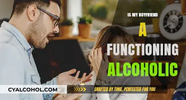 Is My Boyfriend a Functioning Alcoholic? Signs and Concerns