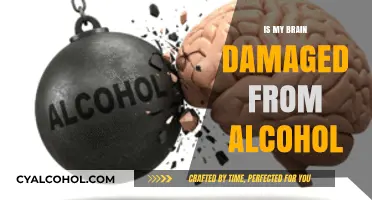 Alcohol's Impact: Understanding Brain Damage Risks and Recovery Possibilities