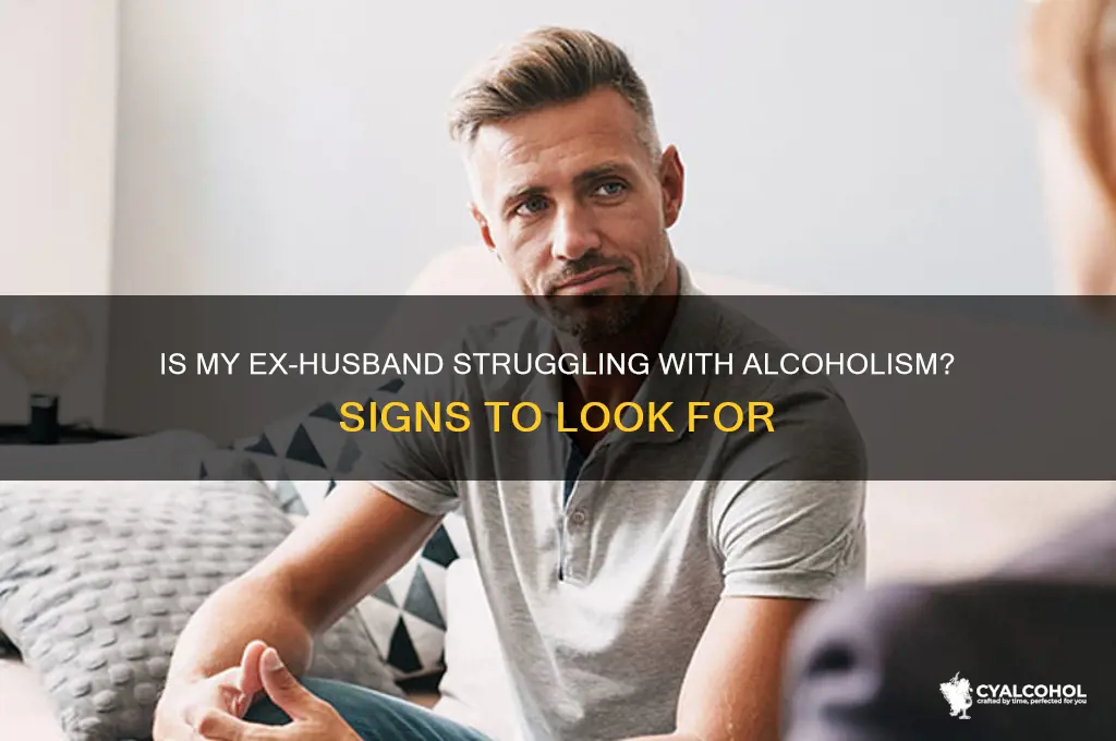 is my ex husband an alcoholic