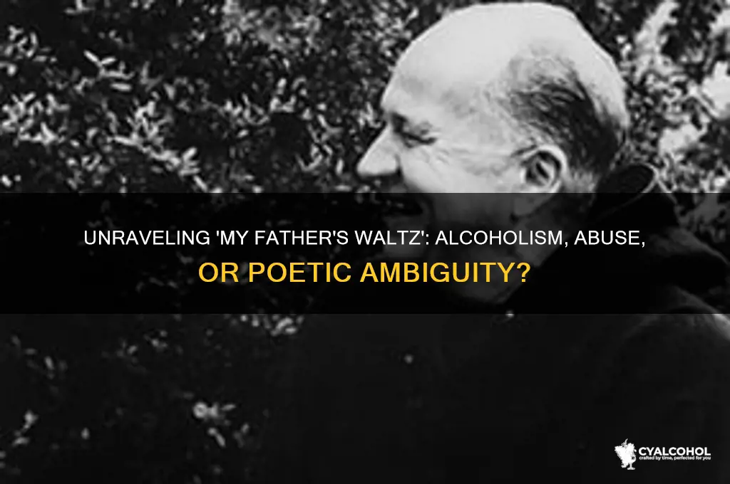 is my fathers waltz about alcoholism or abuse