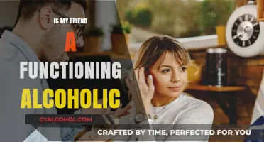 Is My Friend a Functioning Alcoholic? Signs and Concerns