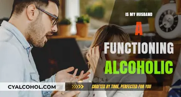 Is My Husband a Functioning Alcoholic? Signs and Solutions