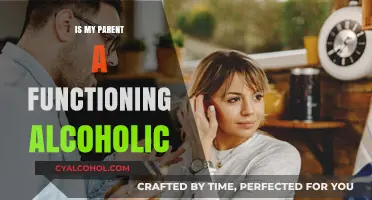 Is My Parent a Functioning Alcoholic? Signs and What to Do
