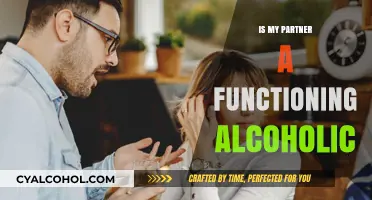Is My Partner a Functioning Alcoholic? Signs and Solutions