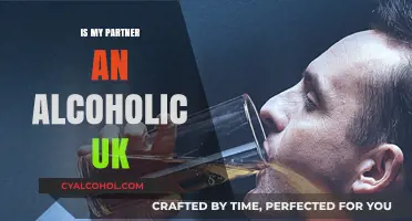 Is My Partner an Alcoholic? Recognising Signs and Seeking Help in the UK