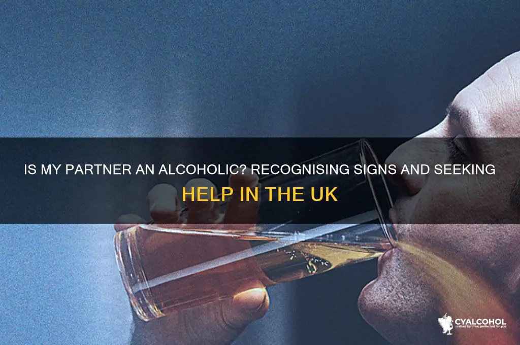 is my partner an alcoholic uk