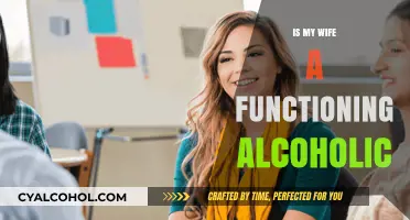 Is My Wife a Functioning Alcoholic? Signs and Concerns
