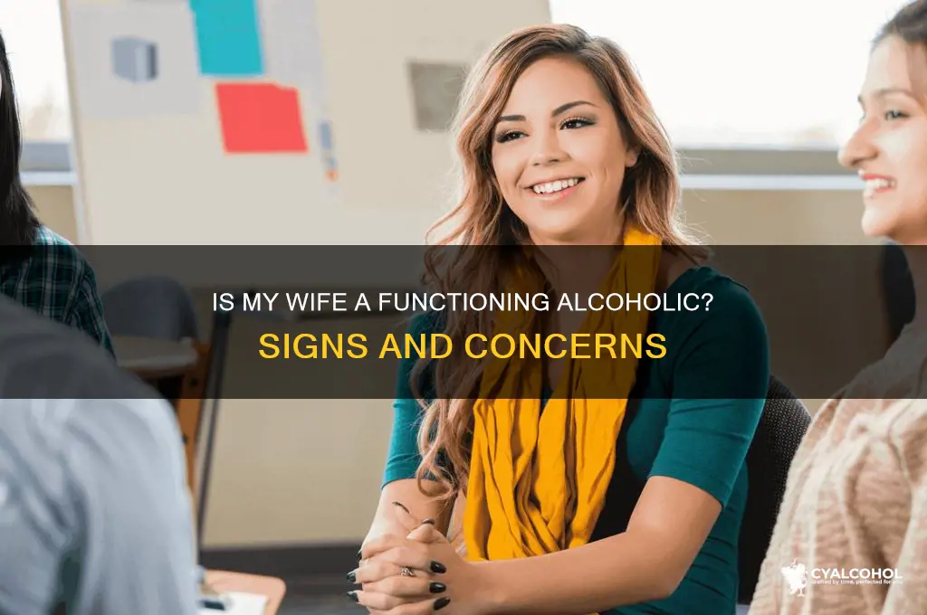 is my wife a functioning alcoholic