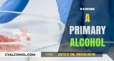 Understanding n-Butanol: Primary Alcohol Classification and Chemical Properties