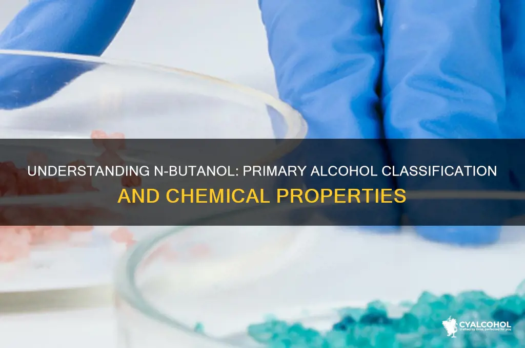 is n butanol a primary alcohol