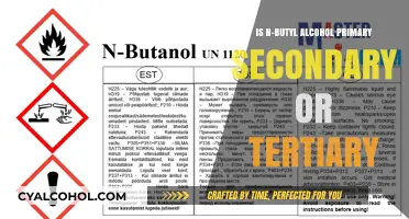 Understanding N-Butyl Alcohol: Primary, Secondary, or Tertiary Classification