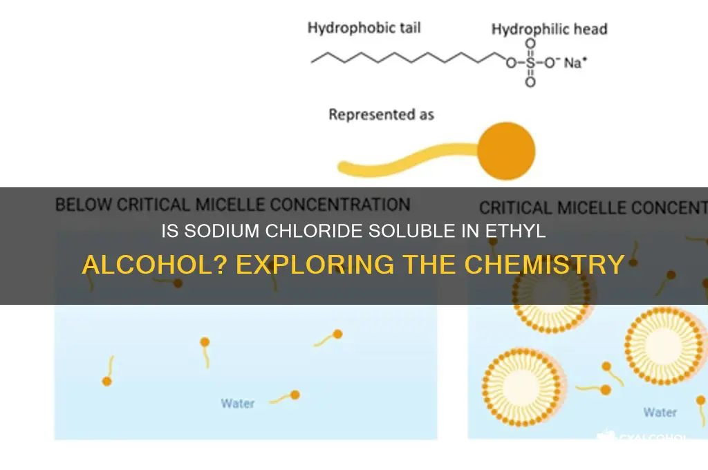 is nacl soluble in ethyl alcohol