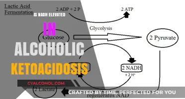 NADH Levels in Alcoholic Ketoacidosis: Elevated or Not?