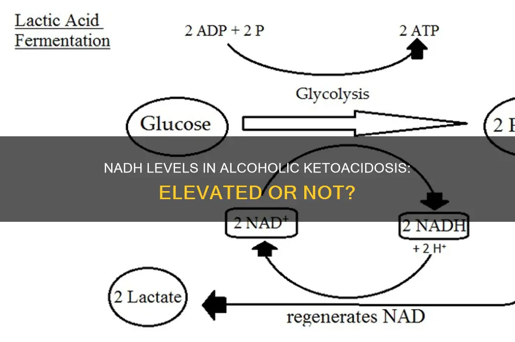 is nadh elevated in alcoholic ketoacidosis