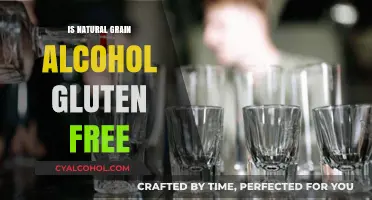Is Natural Grain Alcohol Gluten-Free? Unraveling the Truth for Celiacs