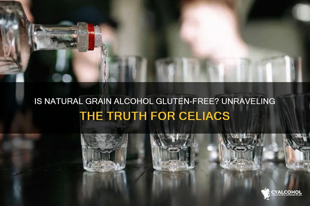 is natural grain alcohol gluten free