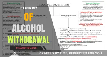 Nausea and Alcohol Withdrawal: Understanding Symptoms and Recovery Process