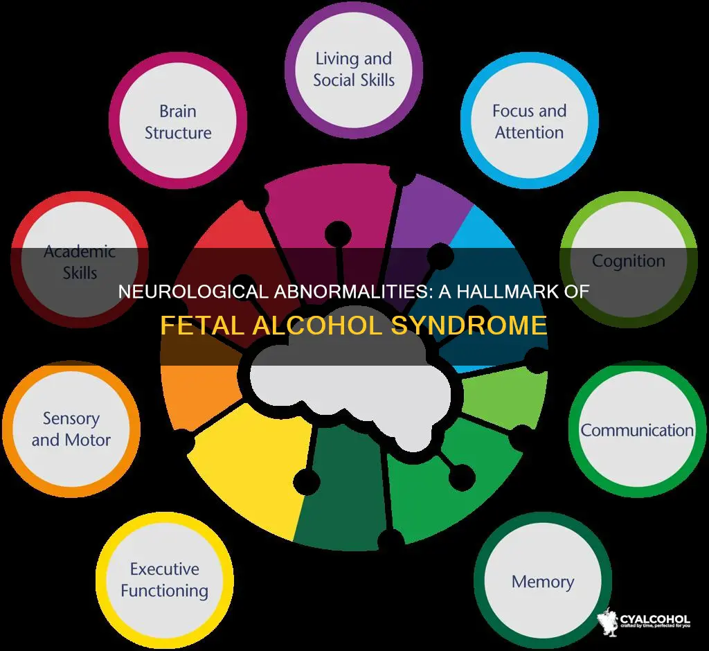 is neurological abnormalities a characterisitcis of fetal alcohol syndrome
