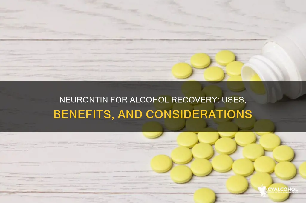is neurontin precribed for recovering alcoholics