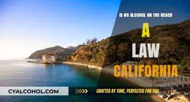 Alcohol on California beaches: What's the law?
