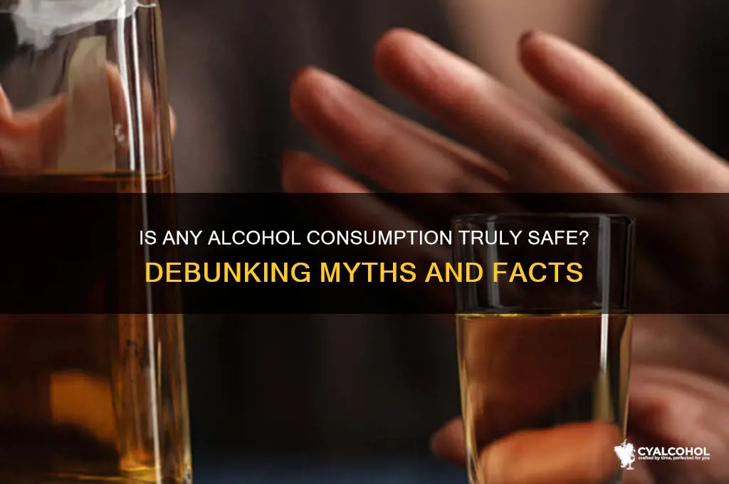 is no amount of alcohol safe