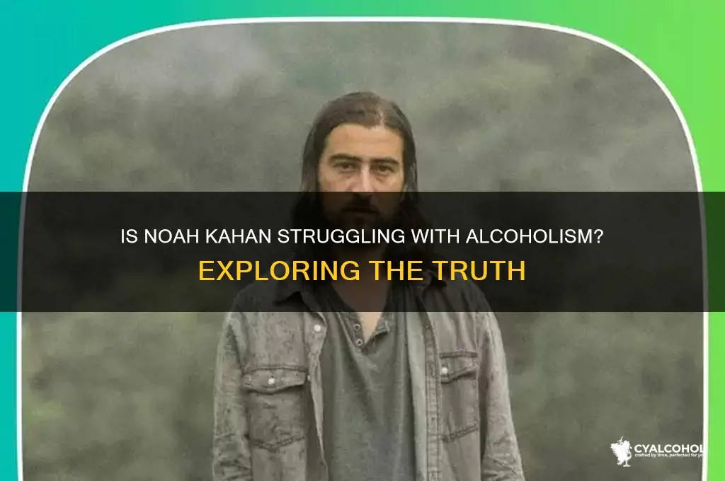 is noah kahan an alcoholic