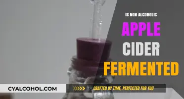 Is Non-Alcoholic Apple Cider Fermented? Unraveling the Process and Benefits