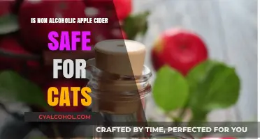 Is Non-Alcoholic Apple Cider Safe for Cats? A Vet's Guide