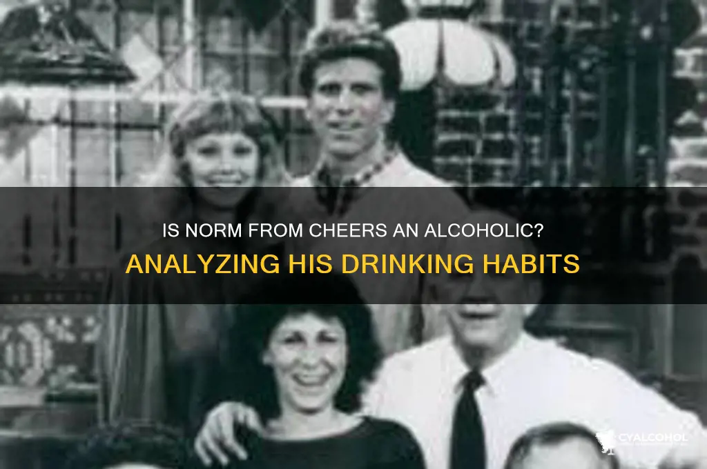 is norm from cheers an alcoholic